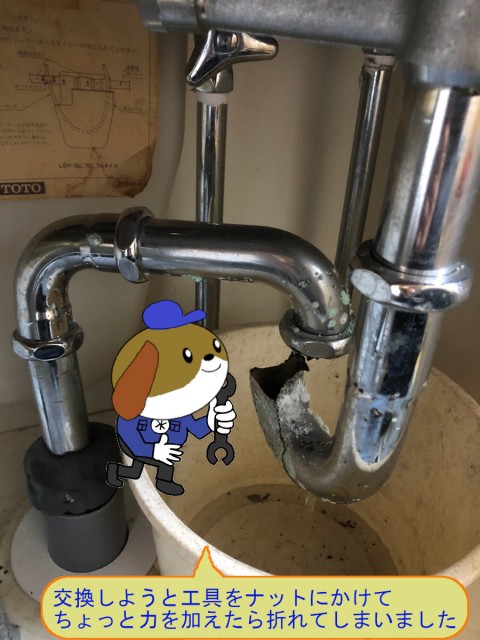 4c4c499b88656317a4d7a139c4f6bb2146-e1771307682728