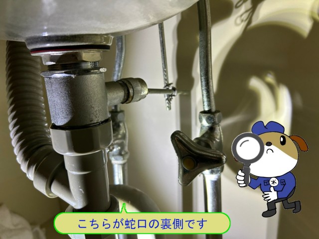 4c4c499b88656317a4d7a139c4f6bb2147-e1773381066918