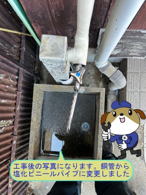 4c4c499b88656317a4d7a139c4f6bb2148-e1773896068385