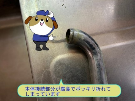 4c4c499b88656317a4d7a139c4f6bb2149-e1775701348127