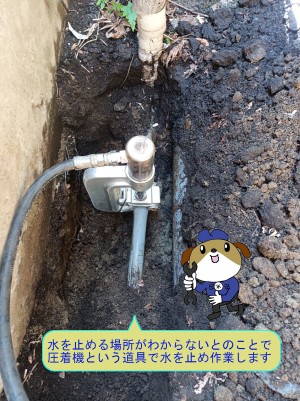 4c4c499b88656317a4d7a139c4f6bb218-e1771392015830