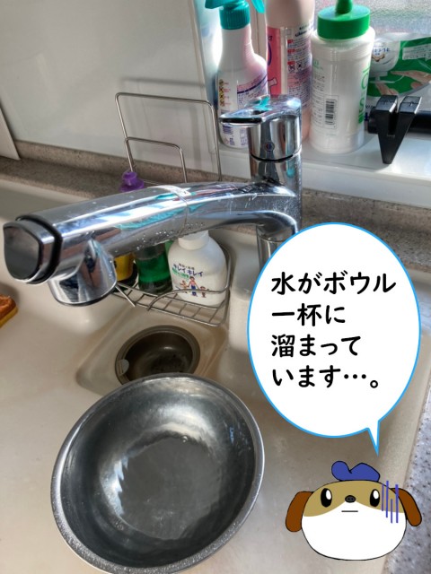 【画像】水漏れしている蛇口の写真です。水漏れしてしまうので下にボウルを置いており、一杯に水が溜まっています。