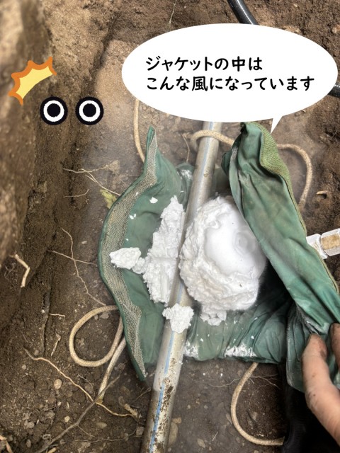 7-7-e1757575631842
