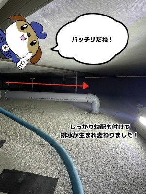 【画像】床下の写真です。排水管が写っています