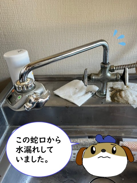 【画像】水漏れしている蛇口の全体像です。