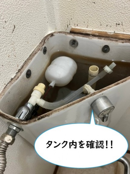 【画像】タンク内画像です。