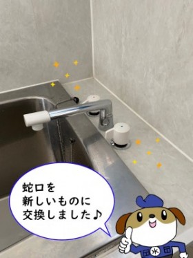 【画像】新しい蛇口を取り付けた所の画像です。