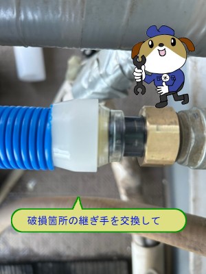 852e4e71a147511398575f4dcafcfaf437-e1755134550281