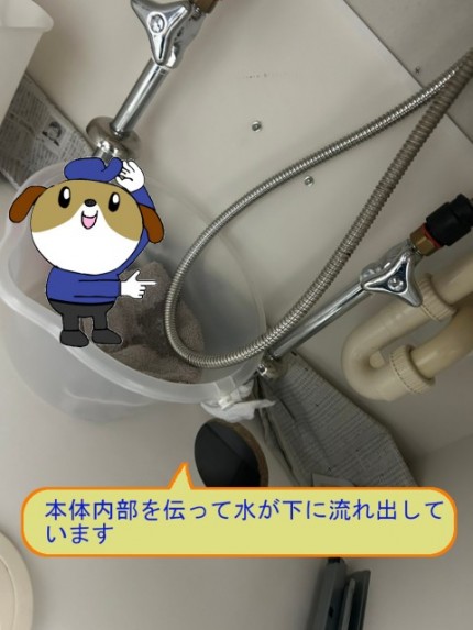 852e4e71a147511398575f4dcafcfaf443-e1761876756804