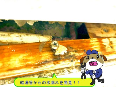 852e4e71a147511398575f4dcafcfaf444-e1761963766852