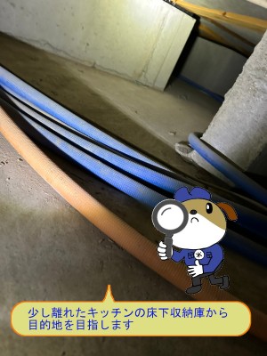 852e4e71a147511398575f4dcafcfaf446-e1764397028538