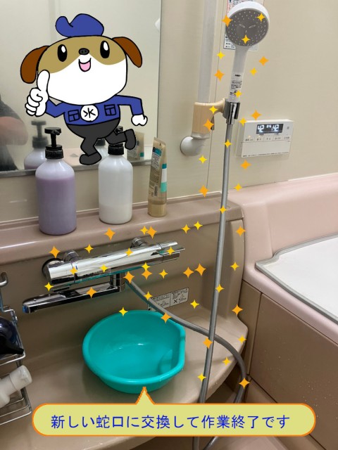 852e4e71a147511398575f4dcafcfaf447-e1764994249883