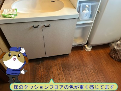 852e4e71a147511398575f4dcafcfaf449-e1768539551512