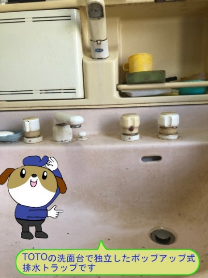 852e4e71a147511398575f4dcafcfaf450-e1771307651880