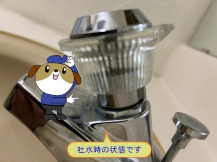 852e4e71a147511398575f4dcafcfaf451-e1773381036201