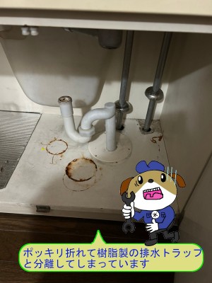 852e4e71a147511398575f4dcafcfaf454-e1776217224574