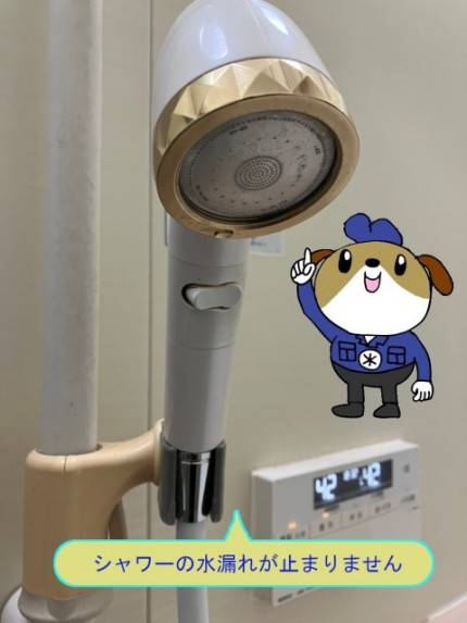 866475c4dddc84f6ab34043fe103cd3d-e1764994155776