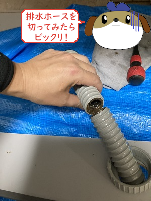 【画像】排水ホースの調査