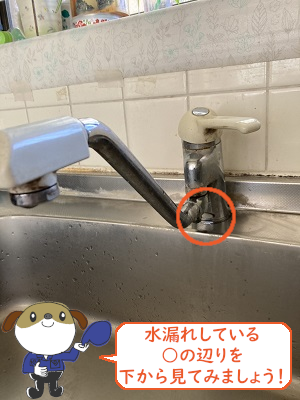 【画像】水漏れした台所蛇口