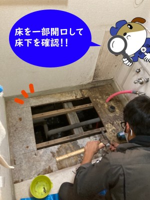 【画像】床下を開口して、確認している写真です。