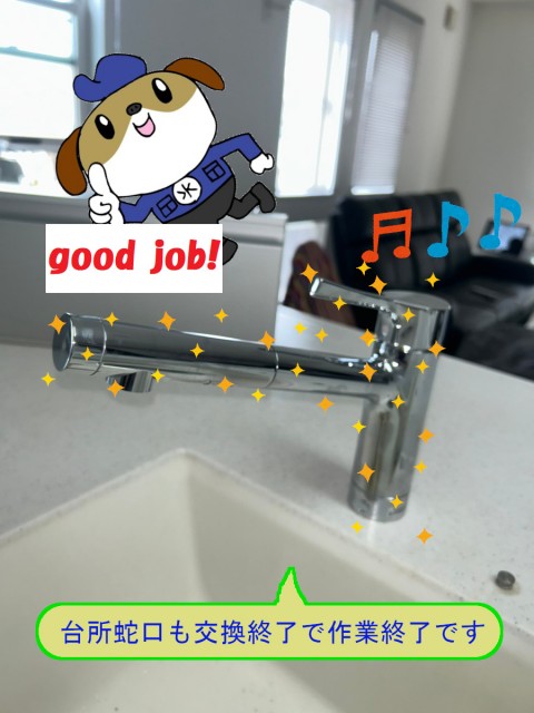 9fe452a67cc175ff97688dee1d39319817-e1761876893333