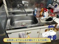 a42bdaa9ac46d1a8b2f3bb425cb5d41545-e1761963721639