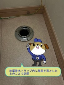 a42bdaa9ac46d1a8b2f3bb425cb5d41547-e1764396975279