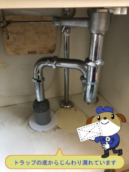 a42bdaa9ac46d1a8b2f3bb425cb5d41550-e1771307602341