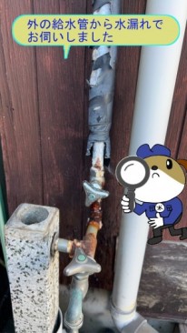 a42bdaa9ac46d1a8b2f3bb425cb5d4158-e1773895978921