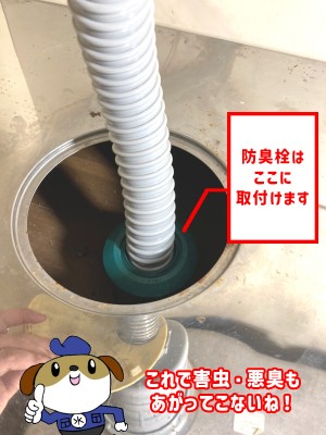 【画像】防臭栓を取り付けた様子です。
