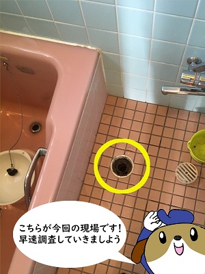 【画像】お風呂の排水口の写真です。こちらの排水口から水漏れしているとのことでした。