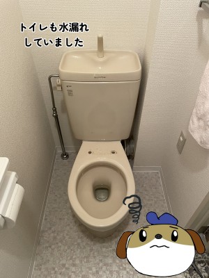 【画像】元々取り付けられていたトイレの写真です。