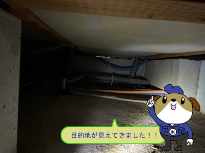 af33160acb4bbc1d2755dbed2698cfc134-e1764397079187