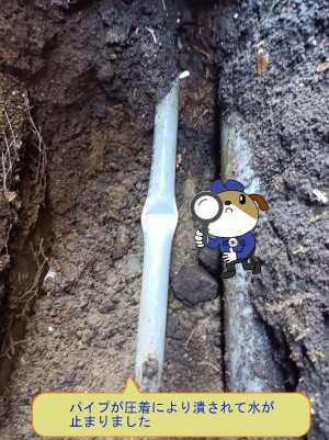 af33160acb4bbc1d2755dbed2698cfc16-e1771392044893