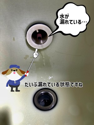 b16e23c79974d762f72a9eacb7aadab9-e1715229738845