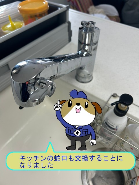 b4bc956cd6d6dbeebe9c94d8a68392fa21-e1761876866491