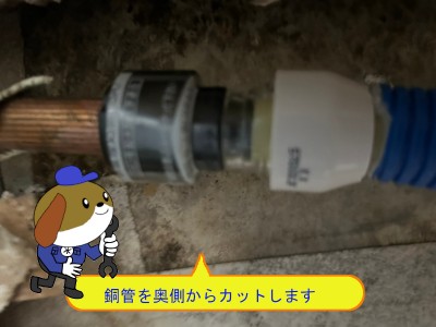 b4bc956cd6d6dbeebe9c94d8a68392fa22-e1761963863631