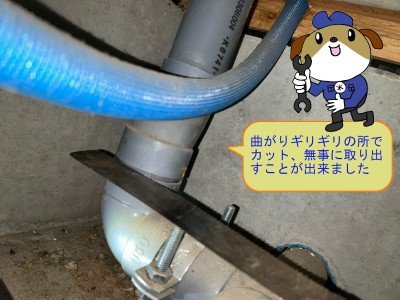 b4bc956cd6d6dbeebe9c94d8a68392fa24-e1764397137970