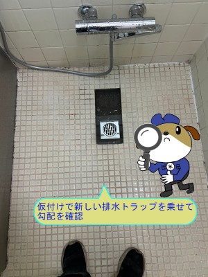 b4bc956cd6d6dbeebe9c94d8a68392fa25-e1765345574936