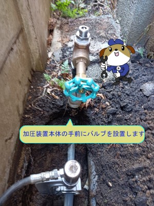 b4bc956cd6d6dbeebe9c94d8a68392fa5-e1771392126136