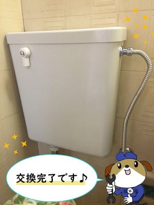 【画像】タンクを交換した後の画像です。