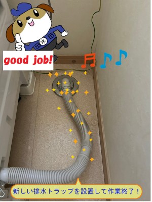 c322eb1c3264051b549f9648c32086914-e1764397334451