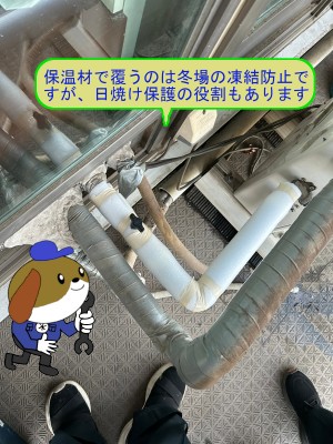 c822139dfd5bc344e094192fdc7d849020-e1755137982549