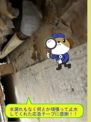 c822139dfd5bc344e094192fdc7d849026-e1761963841161