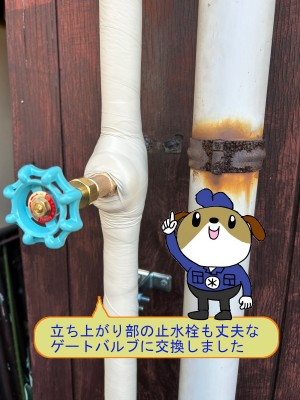 c822139dfd5bc344e094192fdc7d849033-e1773896118322