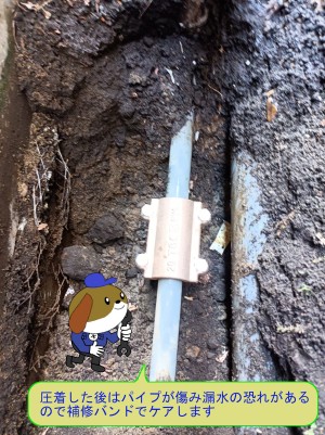 c822139dfd5bc344e094192fdc7d84905-e1771392081884