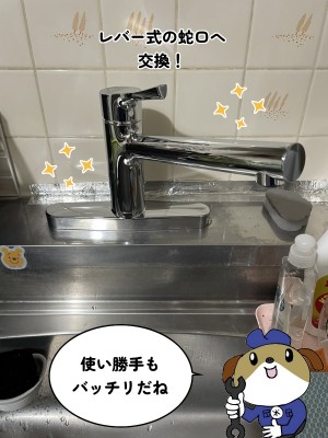 【画像】交換後の台所蛇口の写真です。レバー式の蛇口です。