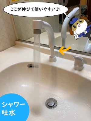 【画像】シャワー吐水で実際に水を出している写真です。