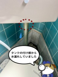 eadfbc8898c8fa2ee5f8317fe7340a75