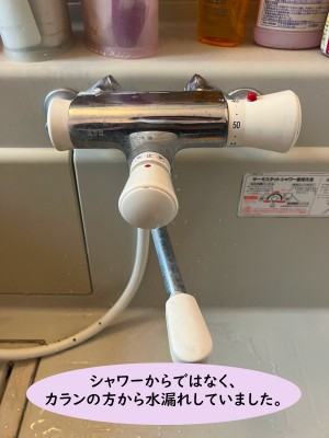 【画像】お風呂蛇口の、カランをドアップに写した写真です。